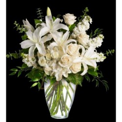 Elegant Sympathy Design