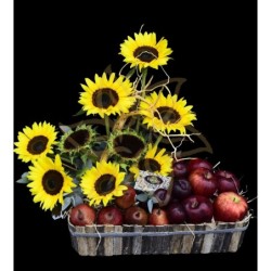 Fruit and Sunflowers