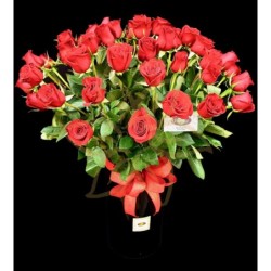 50 Romantic Roses