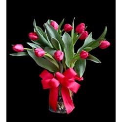 Tulipanes, el Amor perfecto / Arrangement