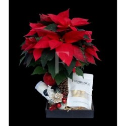 Poinsettia flower, candle and almond shortbreads