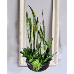 Live Green Arrangement