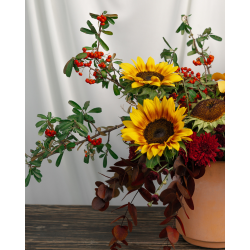 Flower harvest- Arrangement