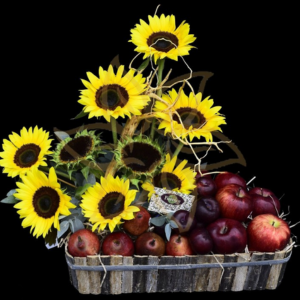 Flowers and Fruits